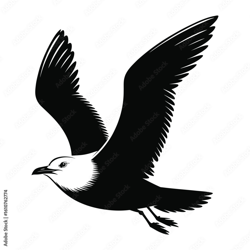 Obraz premium Albatross Bird silhouette vector illustration isolated on a white background