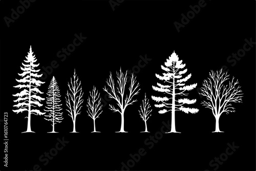 Tree Silhouettes in Winter Calm,
Nature's Outline: Three Trees,
Standing Tall Through Seasons,
Timeless Trees in Black & White
