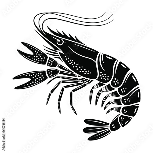 Detailed Crayfish or Shrimp: Black and White Marine Life Illustration