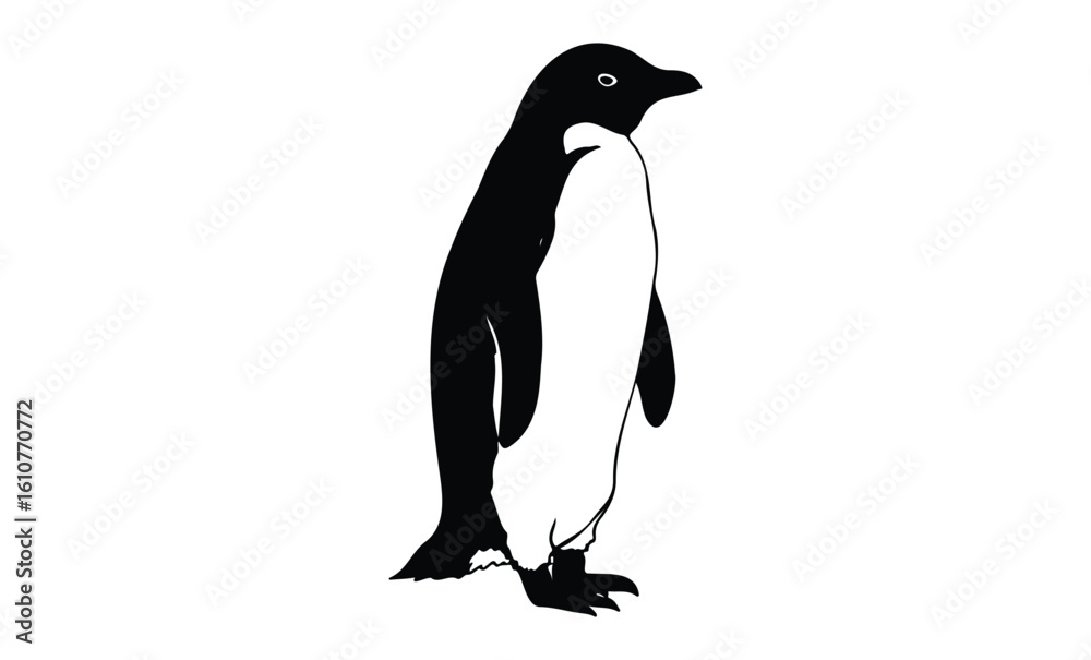 Fototapeta premium Minimalist black and white penguin illustration. Vector retro hand drawn illustration