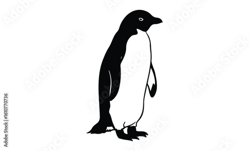 Silhouette of a standing penguin against white background. Vector retro hand drawn illustration