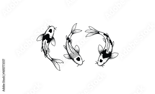Black and white koi fish trio in stylized artwork with japanese influence. Vector retro hand drawn illustration