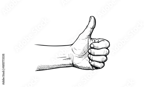 Black and white hand-drawn thumbs up gesture illustration. Vector retro hand drawn illustration