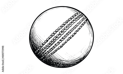 Intricate black and white sketch of a detailed cricket ball with visible seam. Vector retro hand drawn illustration