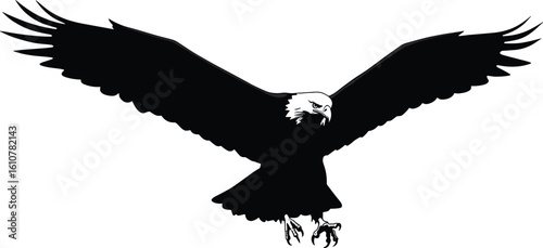 Bald Eagle Silhouette Flying with Open Wings, Predator Bird Vector Art, Wildlife Symbol of Power, American Icon Illustration, Aggressive Eagle, Isolated Black Design