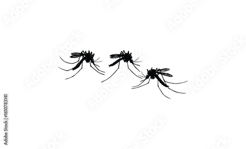 Silhouette of three flying mosquitoes on a white background. Vector retro hand drawn illustration