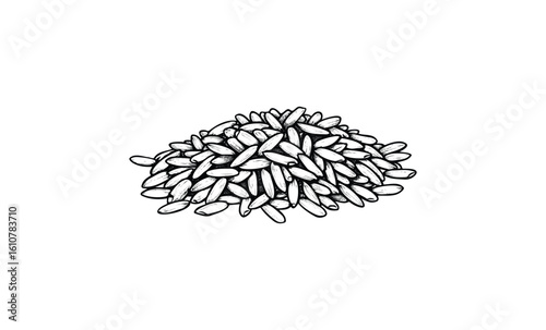Black and white sketch of rice grains in a pile. Vector retro hand drawn illustration