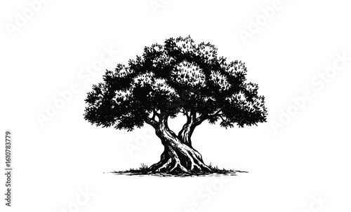 Intricate black and white illustration of a majestic oak tree. Vector retro hand drawn illustration