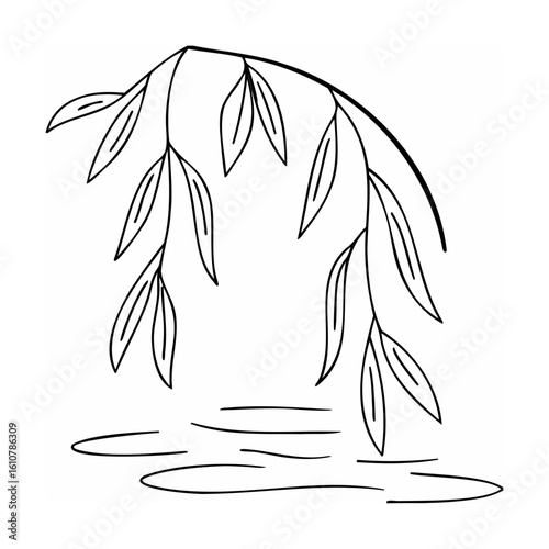 Weeping willow branch over water leaves nature