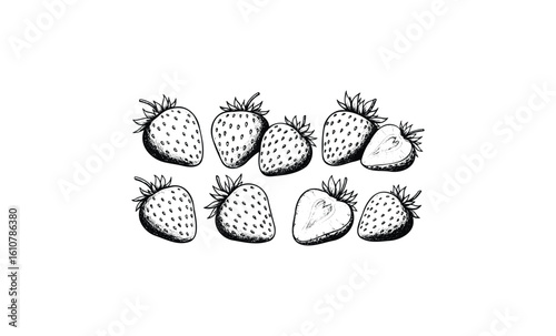 Hand-drawn strawberry illustration in black and white. Vector retro hand drawn illustration