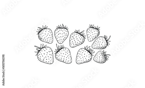 Hand-drawn strawberries sketch in black and white artistic design. Vector retro hand drawn illustration