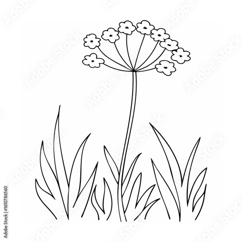 Delicate bloom with grassy stems flower nature