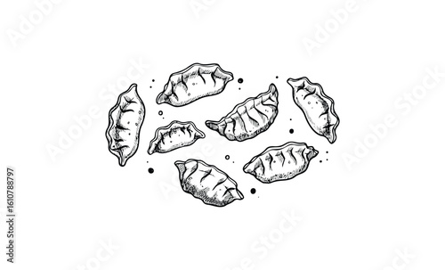 Hand-drawn dumplings illustration with ink details. Vector retro hand drawn illustration