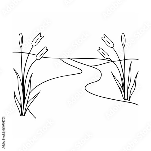 Winding path through reeds and flowers nature landscape