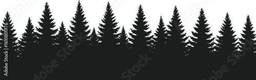 Black silhouette of a dense coniferous forest or pine tree line, creating a beautiful nature landscape for backgrounds, symbolizing wilderness, winter, and outdoor adventure designs.