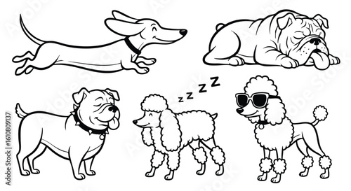 A charming collection of five distinct dog breeds depicted in a playful, illustrative black and white style, showcasing various poses and expressions from en...