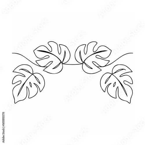 Monstera leaves vine border tropical foliage
