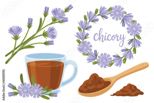 Illustration of chicory plant flowers coffee and powder on a white background