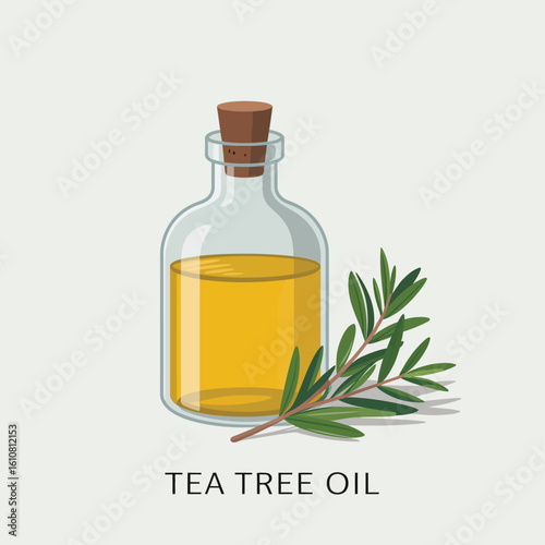 Glass bottle of natural tea tree oil with fresh leaves
