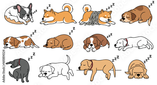 Cartoon illustrations of various dog breeds in different sleeping positions, peacefully dreaming.