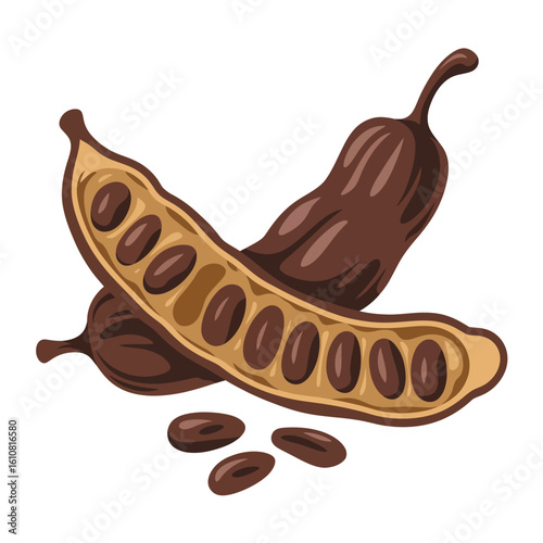 Carob pods with seeds isolated on white background