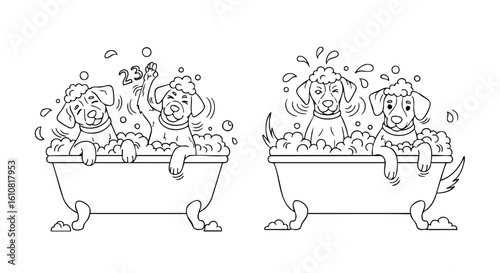 Four playful dogs enjoy a bubbly bath, splashing and getting clean in a vintage tub.