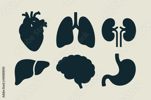 Collection of human organ silhouettes including heart lungs kidneys liver brain and stomach