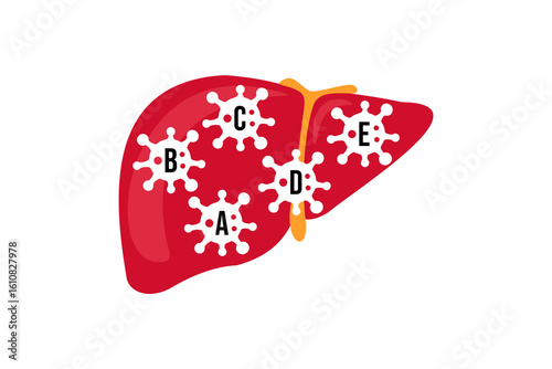 Vector illustration of stock images and symbols for World Hepatitis Day. Templates for use on logos, backgrounds and backdrops. Vector image of a liver organ, world map, simple typography 28 July