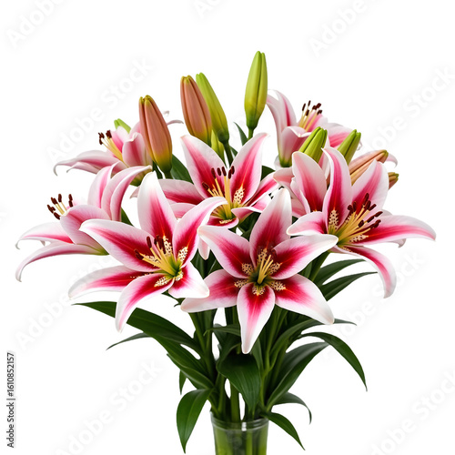 Charming Pink Lily Blooms – Handpicked Bouquet for Special Moments