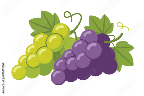 Fresh green and purple grapes with leaves on a white background