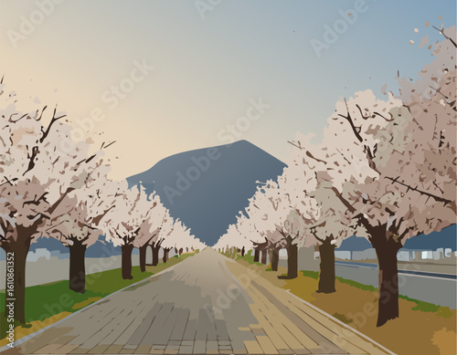 桜と風景