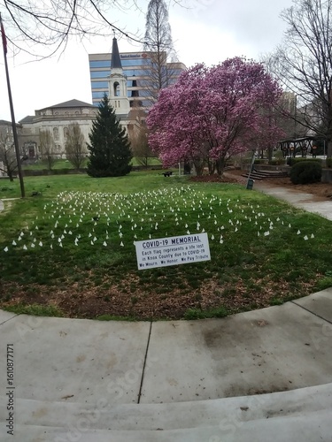 garden in the park