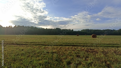 A serene countryside scene showcasing a vast field of hay bales, framed by a lush forest and a partly cloudy sky. This image captures the essence of rural tranquility and natural beauty.