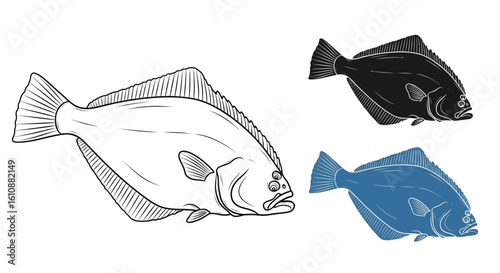 Detailed line art and silhouettes of a flatfish for your fishing and seafood projects