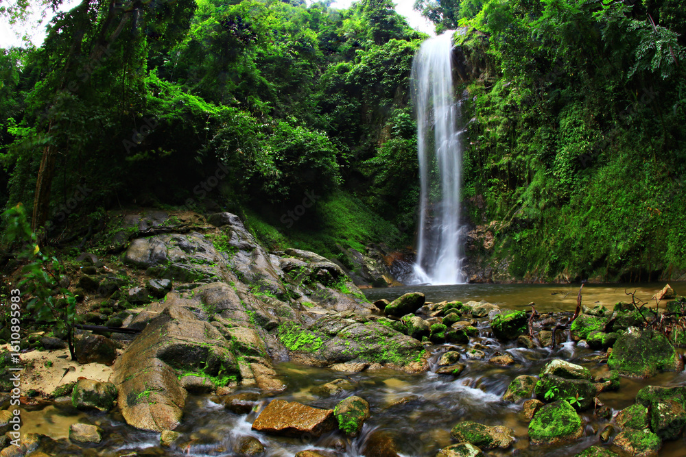 Naklejka premium Beautiful mountains and green forest at Dadfa Waterfall in Tai Rom Yen National Park, Surat Thani Province, Thailand