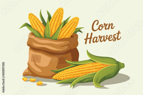 Fresh corn harvest in a burlap sack with ripe cobs