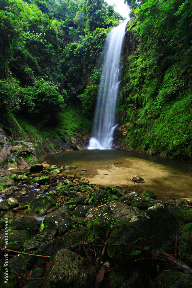 Naklejka premium Beautiful mountains and green forest at Dadfa Waterfall in Tai Rom Yen National Park, Surat Thani Province, Thailand