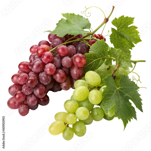 Wallpaper Mural Close-up of ripe red grapes on the vine, perfect for harvest and wine Torontodigital.ca