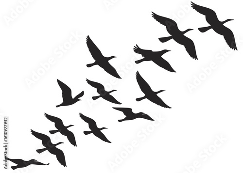 Wallpaper Mural Graceful flock of birds flying in formation across a bright sky, conveying freedom and migration Torontodigital.ca