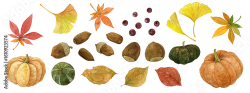 水彩 秋の実り Watercolor Illustration Set: Autumn Nature Elements