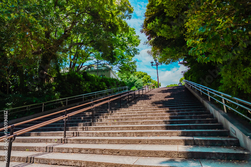 Photography The view of Ueno Park in Tokyo, Japan