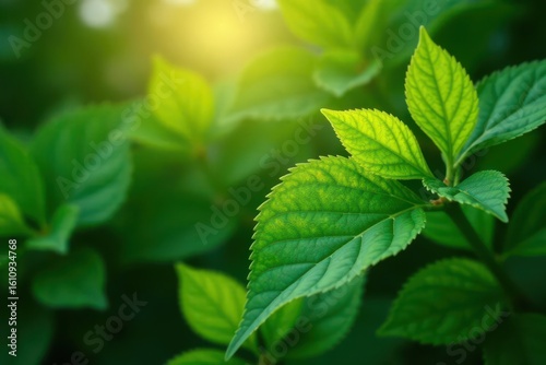 Delicate gold accents on rich green leaves, nature's artistry , summer, design