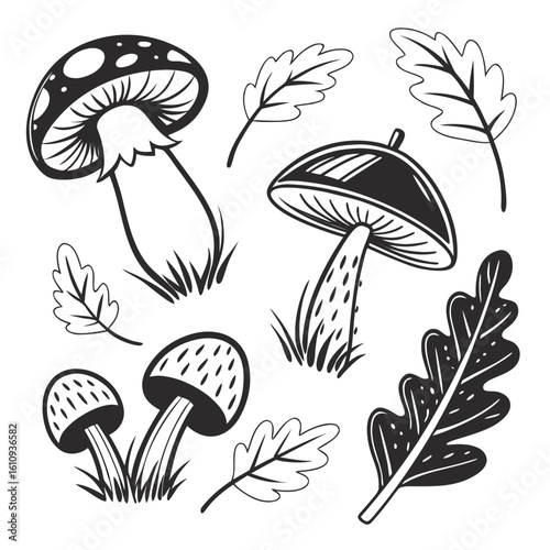 mushrooms