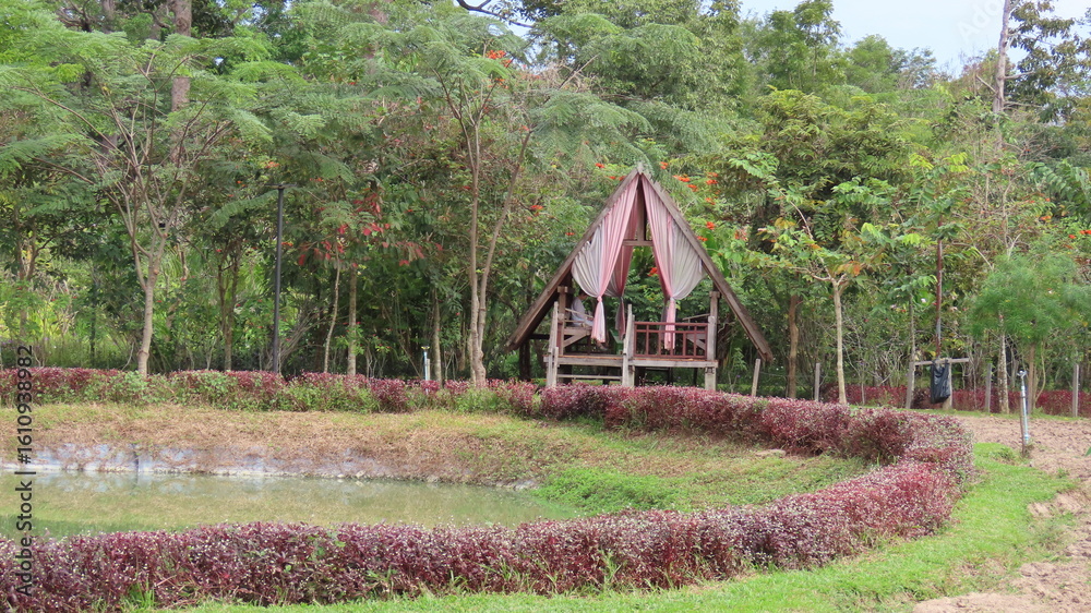 Naklejka premium Beautiful nature in the botanical garden in Siem Reap, Cambodia in November