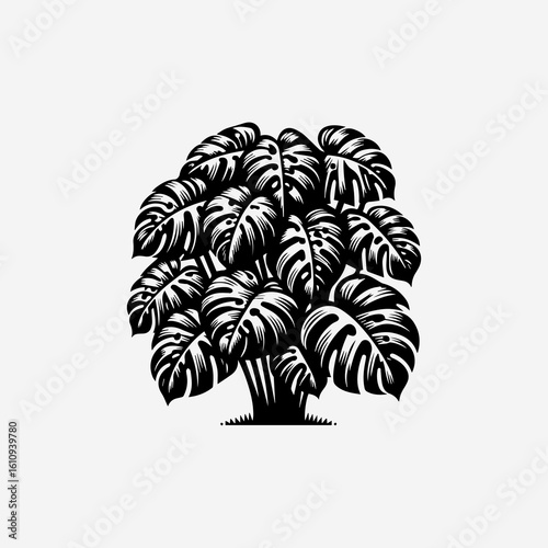 Stylized Monstera Plant Illustration with Bold Black and White Contrast.