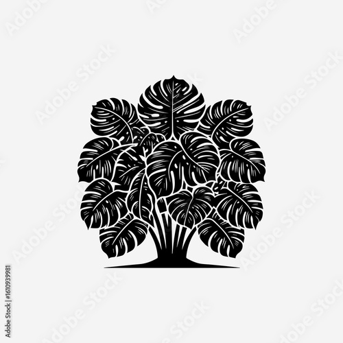 Stylized Monstera Plant Silhouette with Intricate Leaf Veins and Distinctive Fenestrations.
