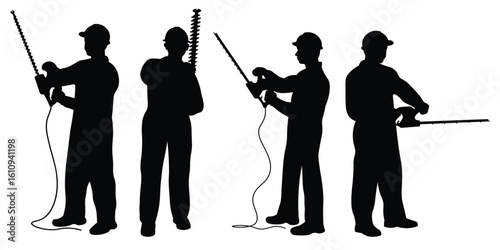 silhouette illustration of ornamental tea tree bushes being