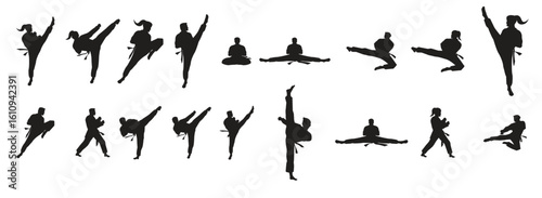 Taekwondo Vector icon design