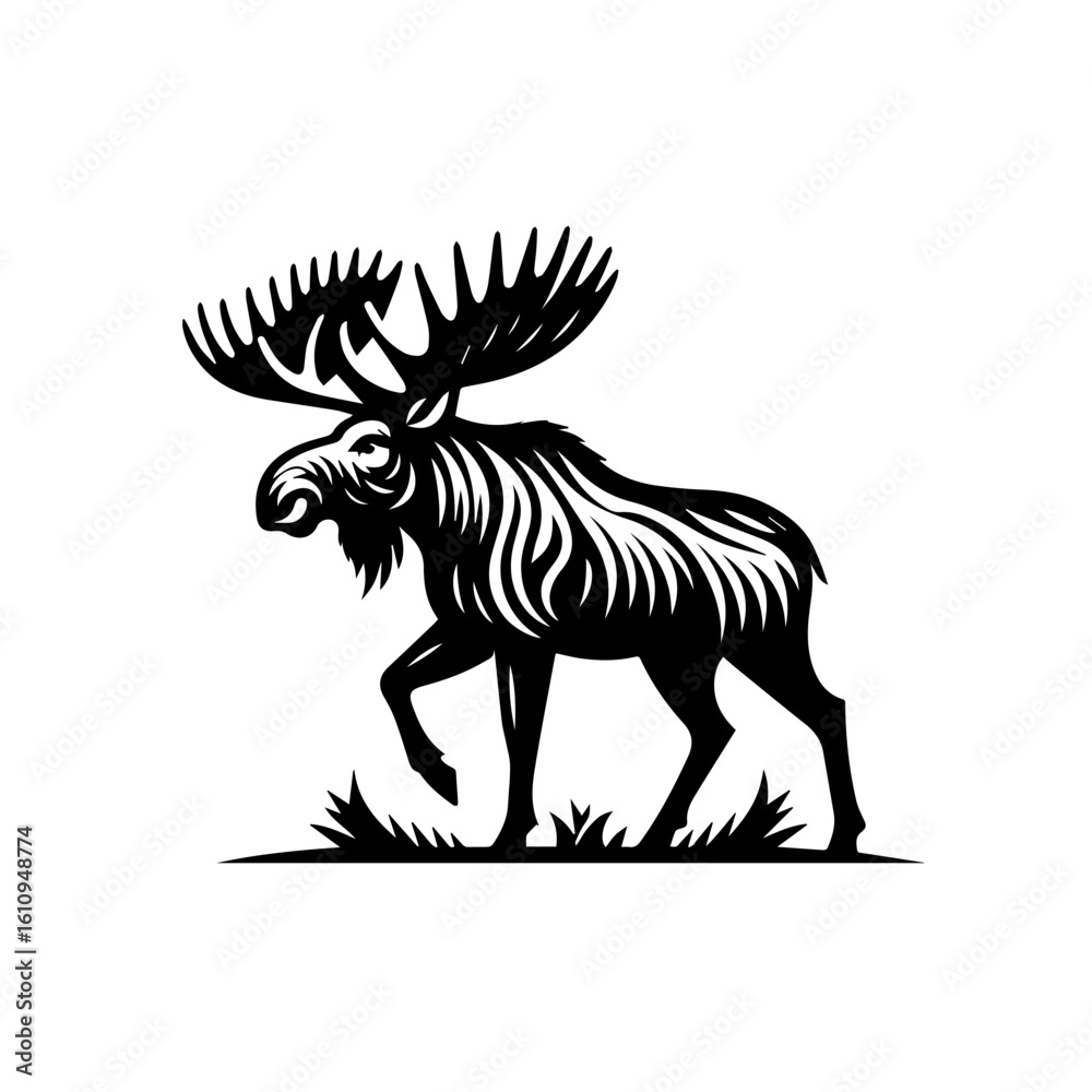 Fototapeta premium A majestic moose with large antlers walks through grass