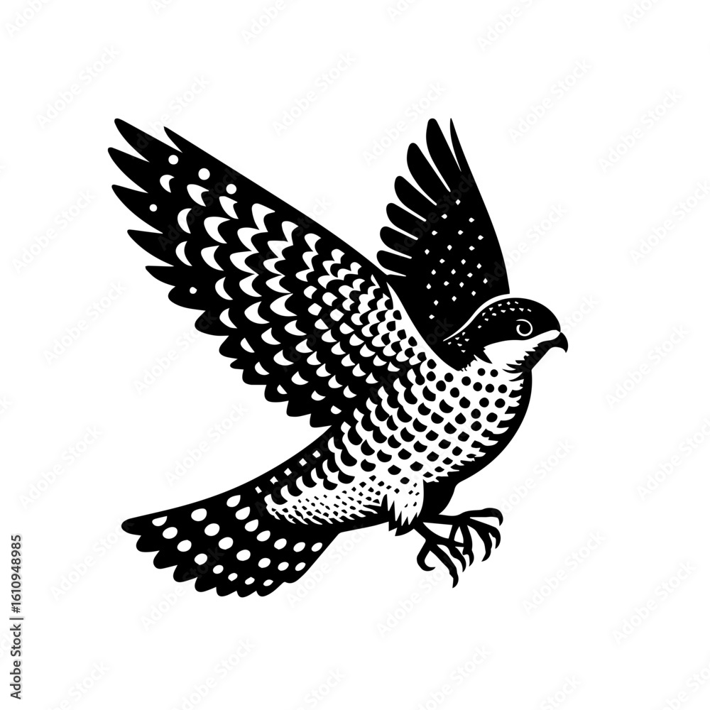 Fototapeta premium A falcon in midflight with wings spread wide